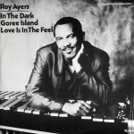 Roy Ayres - In The Dark